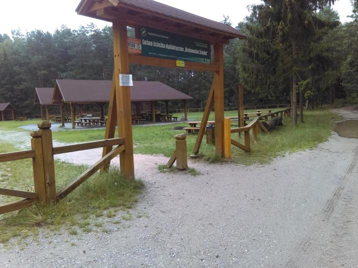 for&#x2e;&#x20;archiwum&#x20;Nadleśnictwa&#x20;Kozienice