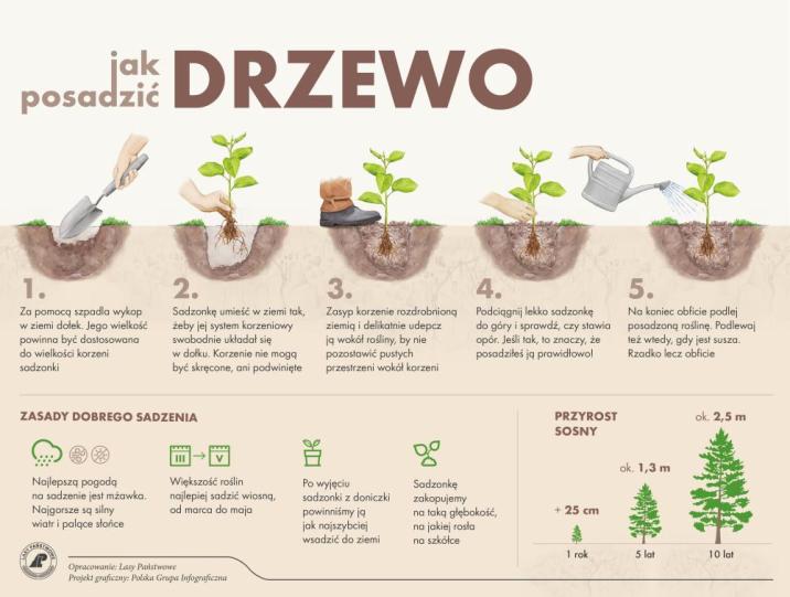 Instrukcja&#x20;&#x22;Jak&#x20;posadzić&#x20;dzrewo&#x22;