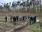 Pracownicy Browaru Warka odwiedzili lasy Nadleśnictwa Kozienice