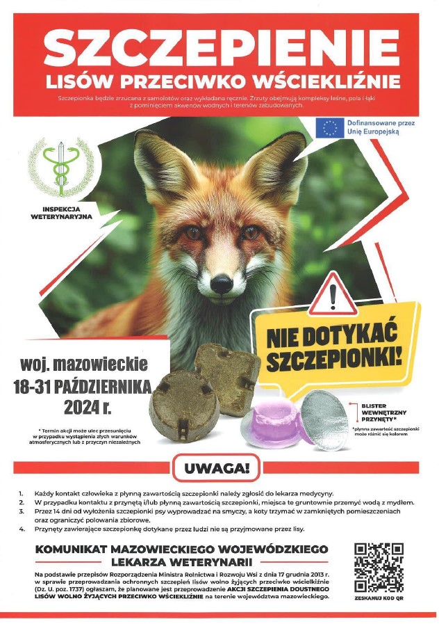 Plakat&#x20;ws&#x2e;&#x20;szczepienia&#x20;lisów&#x20;wolnożyjących&#x20;18-31&#x2e;10&#x20;-&#x20;fot&#x2e;&#x20;archiwum&#x20;nadleśnictwa