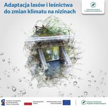 Mała retencja nizinna