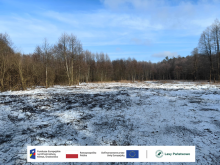 #ProjektyLP #Lasydlamokradeł #GMOK