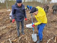 SADZIMY RAZEM Z NATURĄ 202